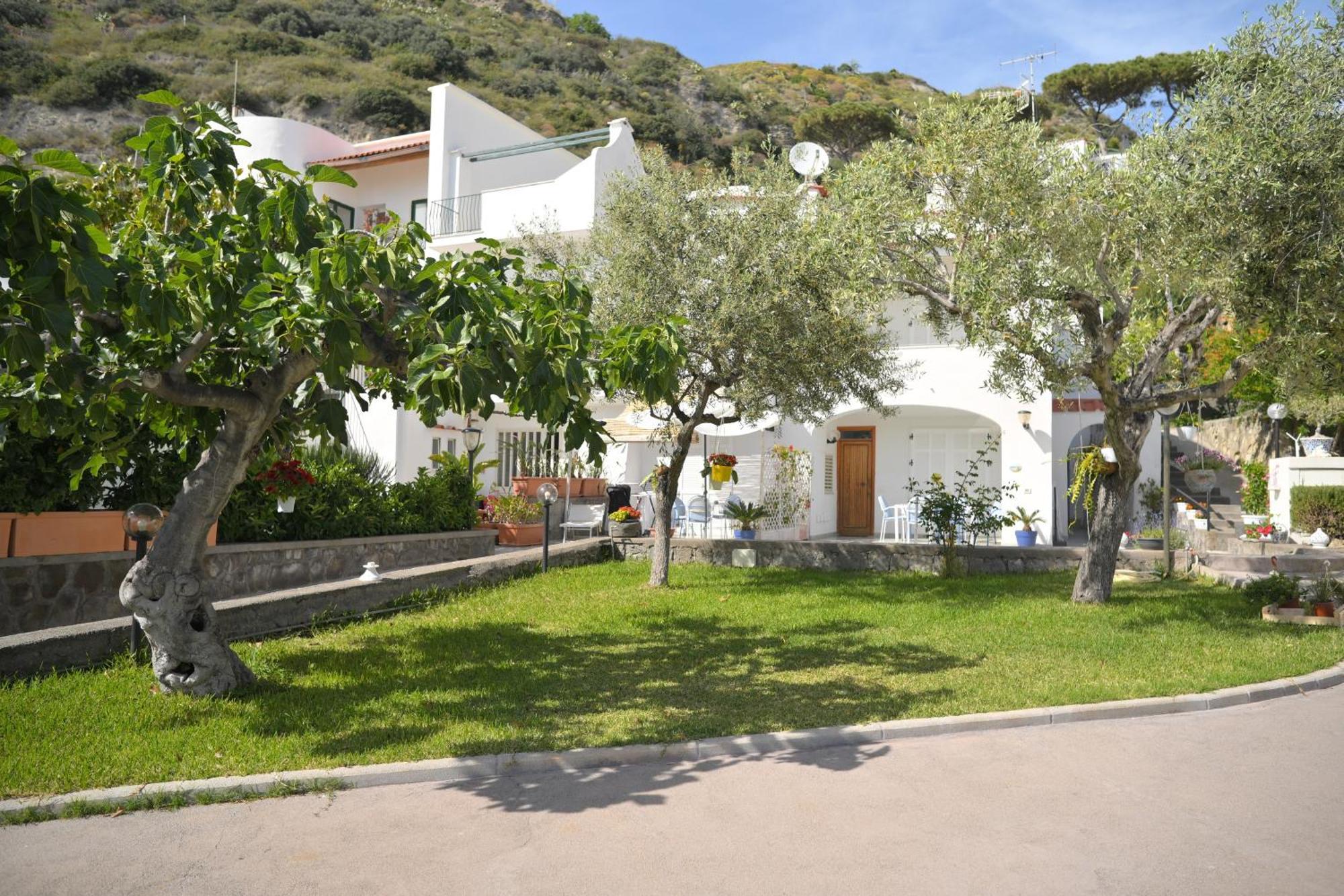 Ferienwohnung Blu Maronti Barano dʼIschia Exterior foto